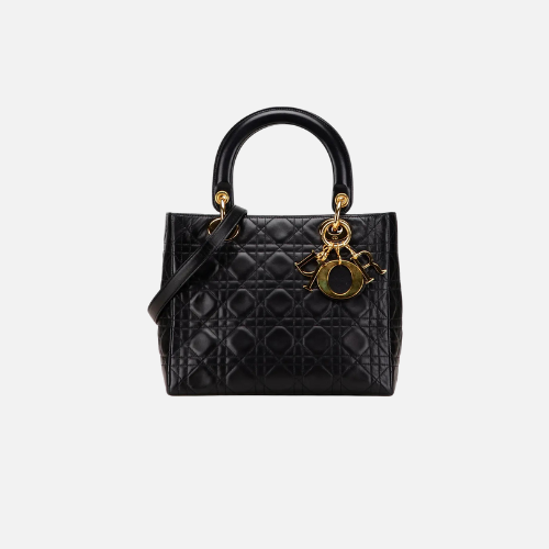 Bag Dior